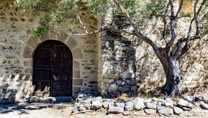 Ancient stone building with wooden door and olive tree