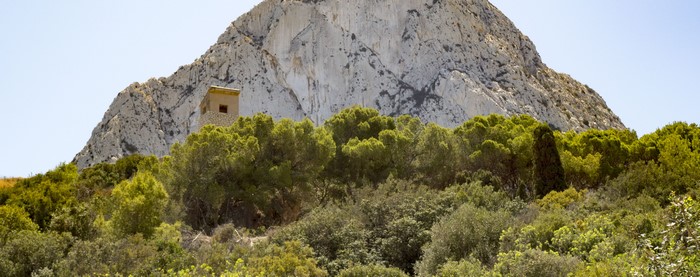 Mountain with a small building and trees