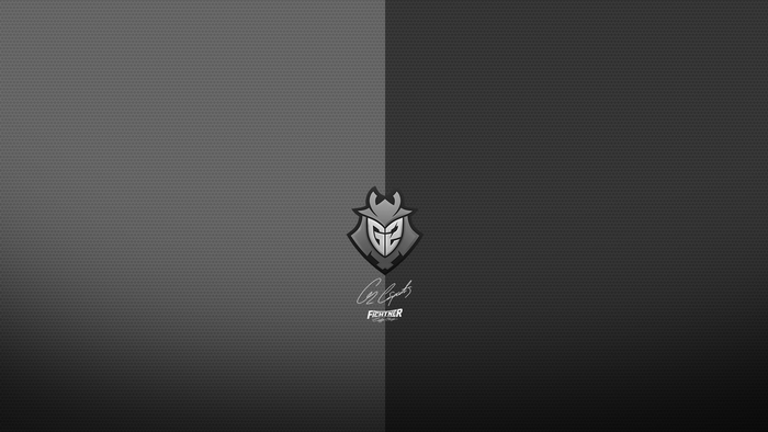 G2 Esports logo and text on a split gray background