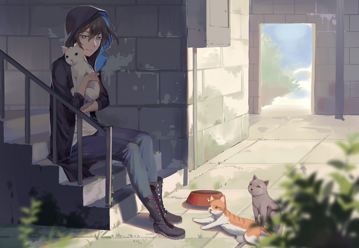 Person with cats on stairs