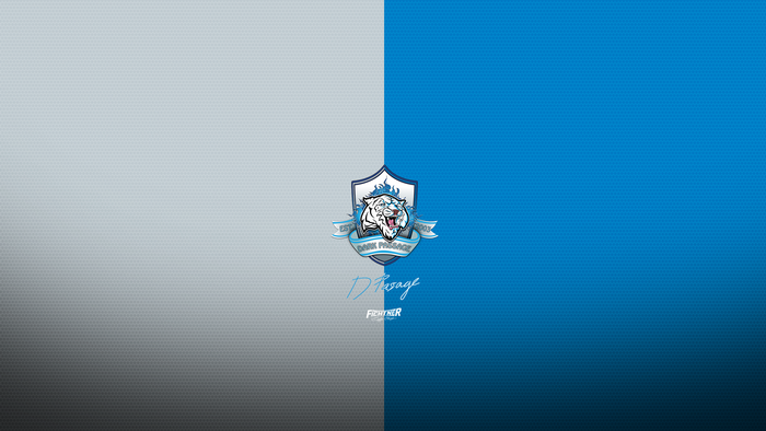 Dark Passage esports logo with tiger and text
