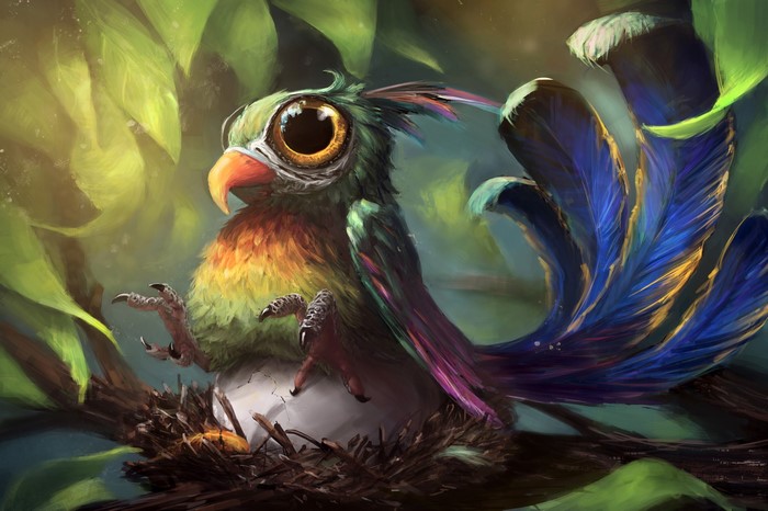 Colorful bird in a nest with an egg