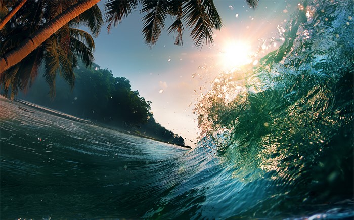 4K Palm Trees and Ocean Wave at Sunset