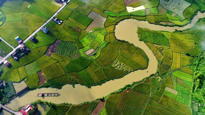 Aerial view of rice fields and river in Vietnam
