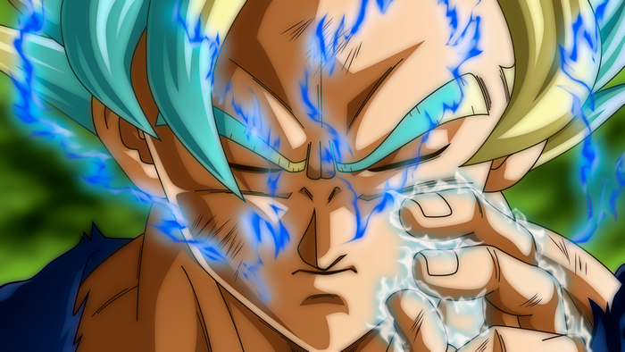 Goku from Dragon Ball Super