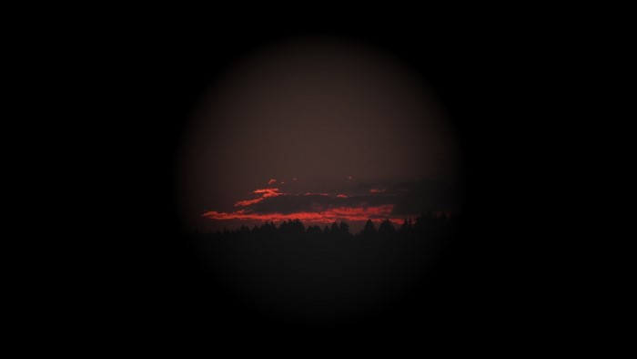 Sunset over a forest silhouette within a dark circle