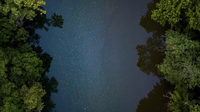 Aerial view of trees reflecting in water under a starry sky