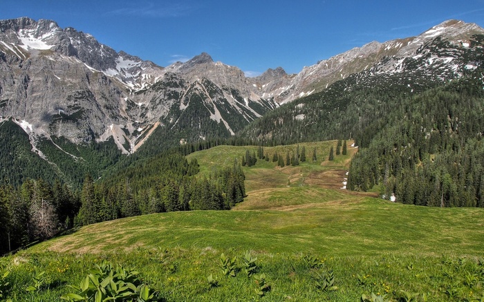 Mountain landscape with green meadows and forests