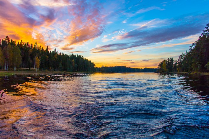 Sunset over a forest lake with waves