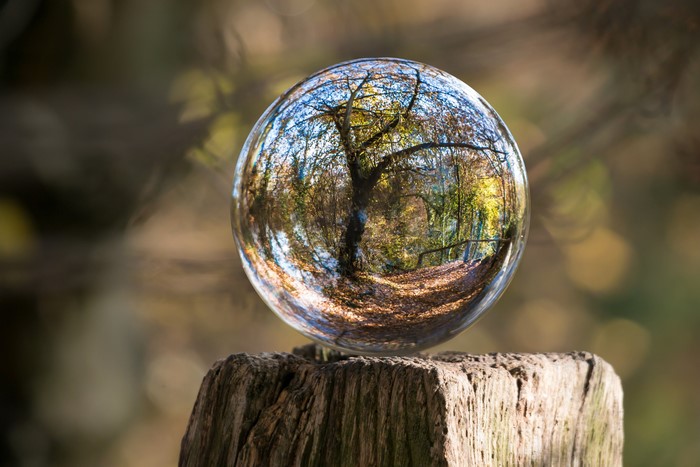 Tree reflection in a sphere on a wooden post