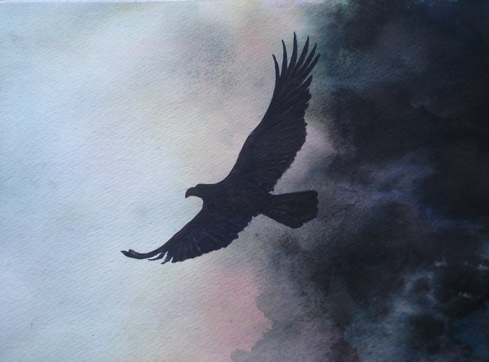 Silhouette of an eagle flying against a dark sky