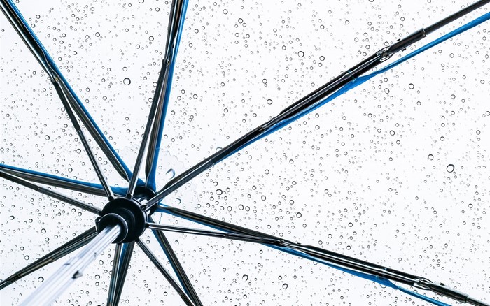Close-up of an umbrella with water drops
