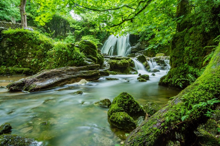 Waterfall in a mossy forest with rocks and a creek