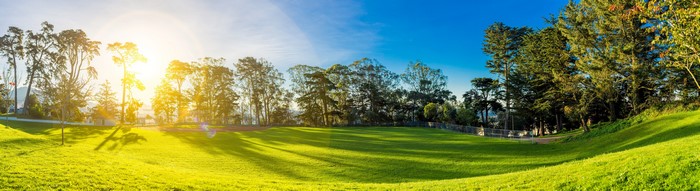 Panoramic view of a park with trees and sun