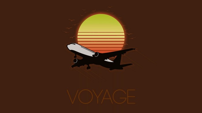 Airplane flying at sunset with birds and text VOYAGE