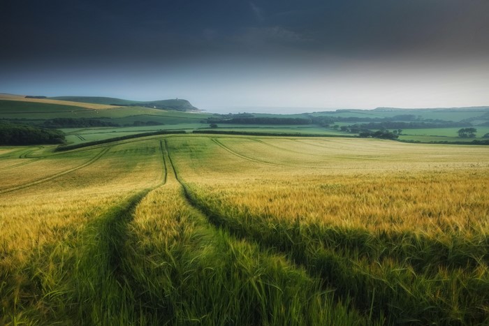 Rolling green hills and fields under a dark sky