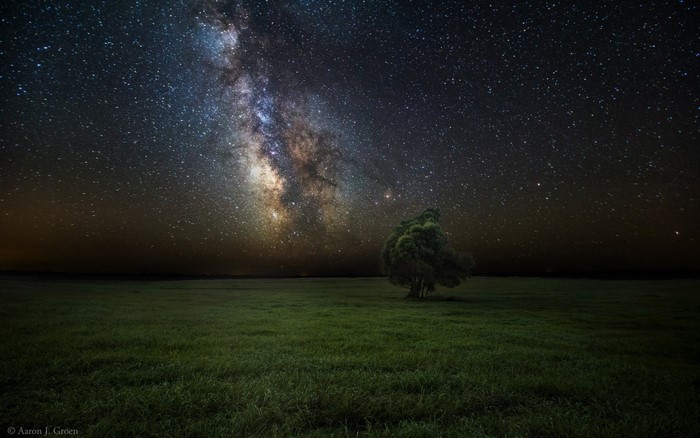 Milky Way over a lone tree in a field