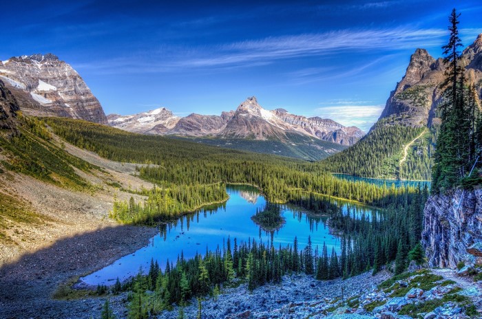 Lake O'Hara in Yoho National Park, Canada
