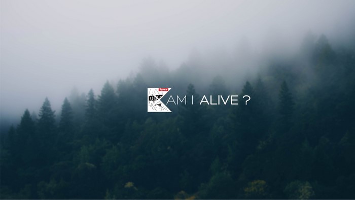 AM I ALIVE ? text with Supreme logo over misty forest