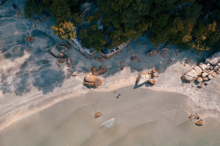 Aerial view of a rocky beach with trees and ocean