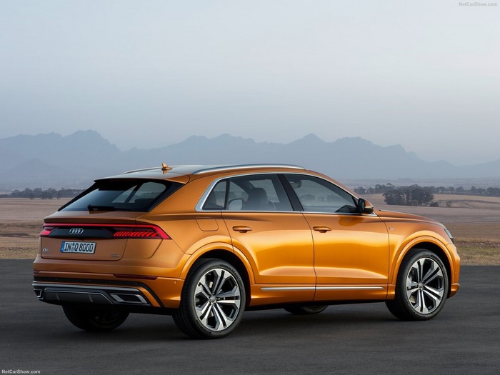 Audi Q8 2019 rear view