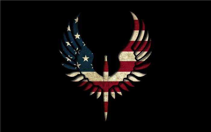 American Flag Eagle Emblem