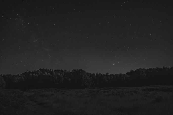 Monochrome starry night over a forest and field