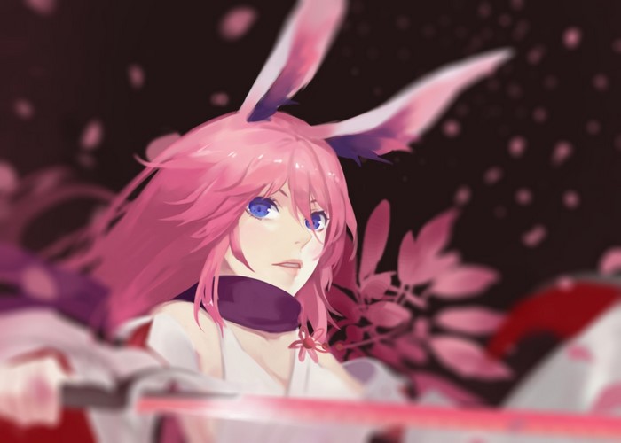 Yae Sakura from Honkai Impact