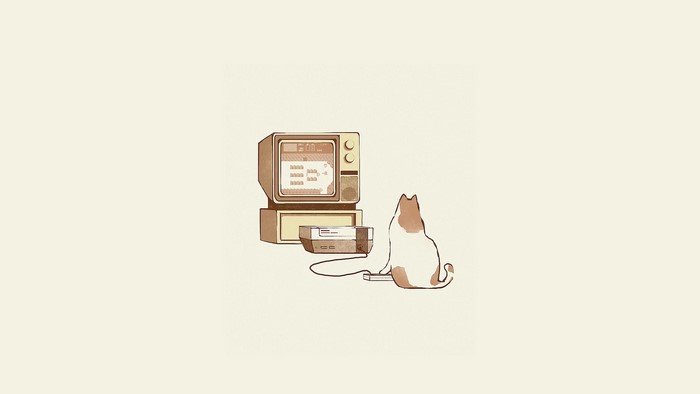 Cat playing The Legend of Zelda on NES