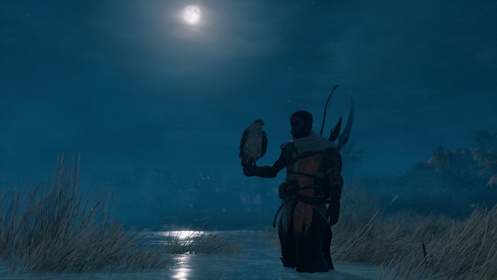 Bayek from Assassins Creed: Origins with a hawk