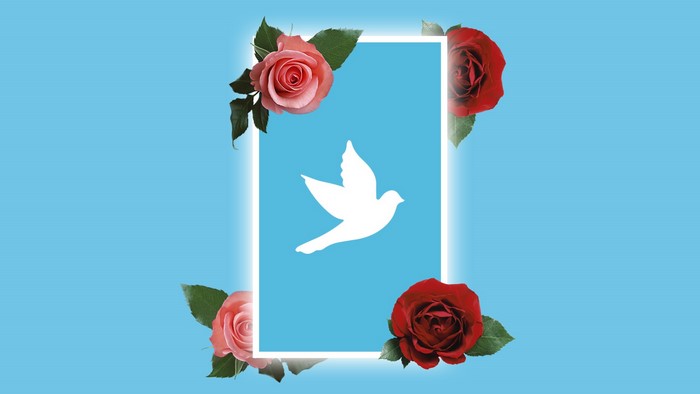 White dove on a blue background with roses