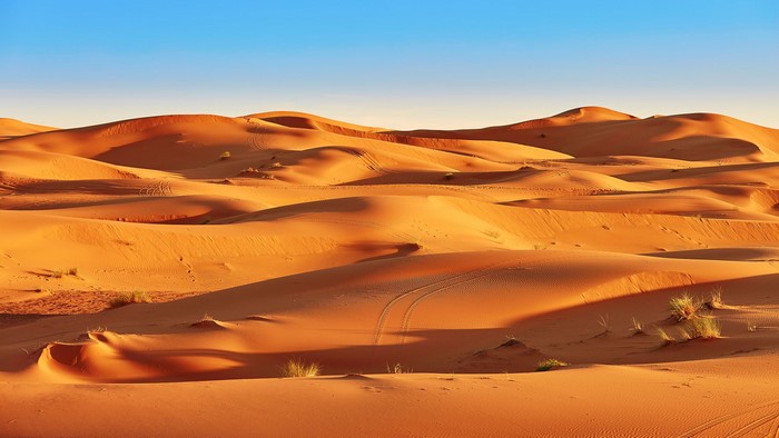 Sahara Desert dunes with tire tracks under a clear sky