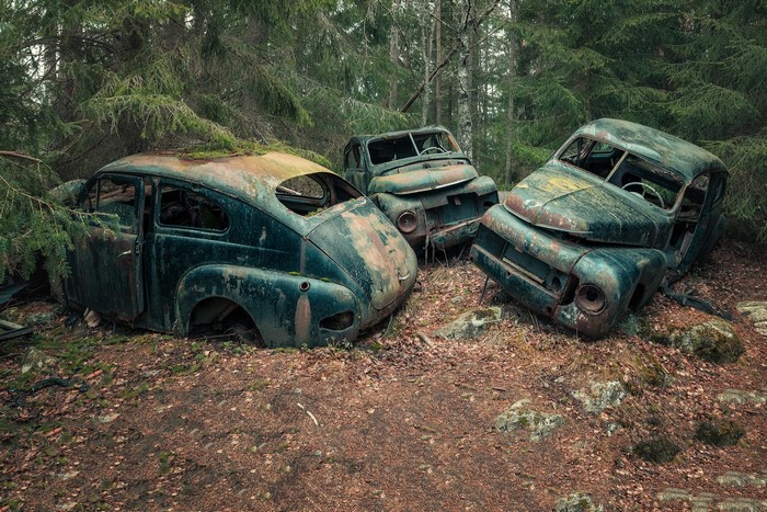 Three rusted vintage cars abandoned in a forest