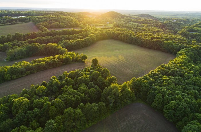 Aerial view of rolling hills with fields and trees at sunset