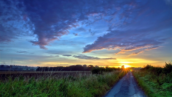Road through a field at sunset