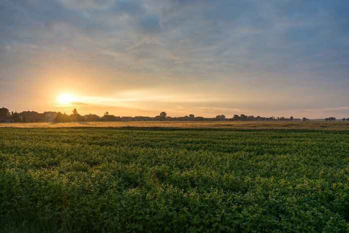Sunrise over a village and field in Poland