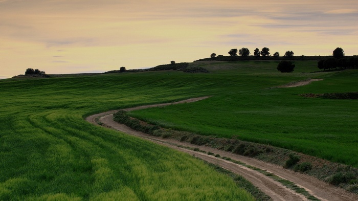 A winding dirt path through green fields under a pale sky