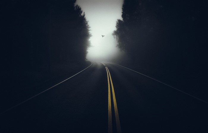 A bird flies over a foggy road through a dark forest