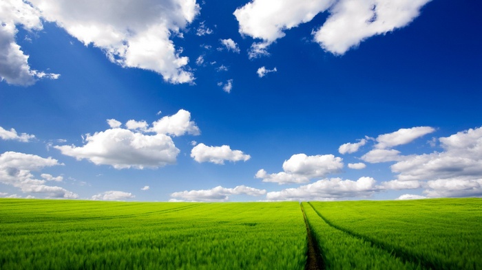 Green field under a blue sky with clouds