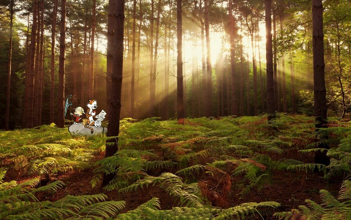 Calvin and Hobbes in a Forest