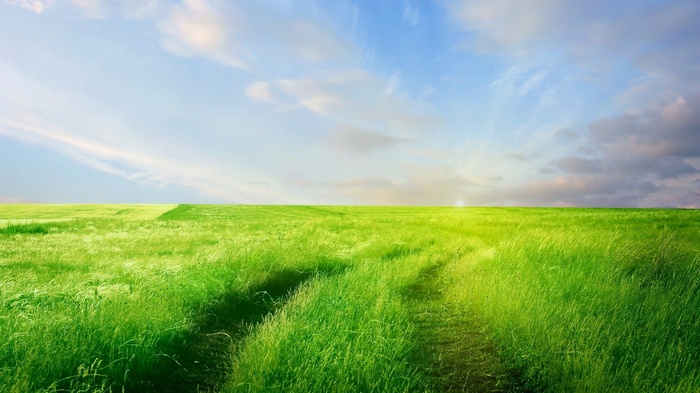 A dirt path winds through a vibrant green meadow under a blue sky.