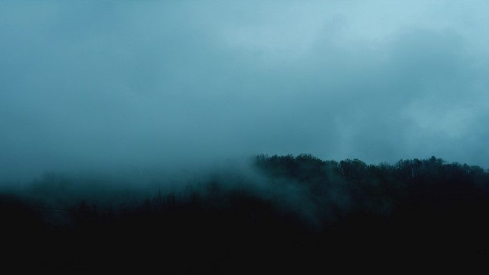Misty forest on a dark morning