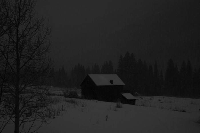 Snowy forest with a cabin