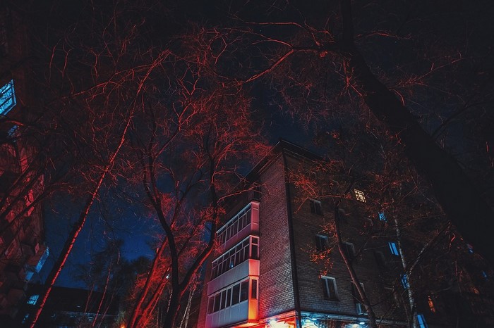 Night scene with trees and red light on buildings