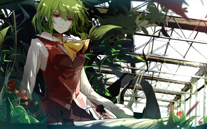 Yuuka Kazami from Touhou Project