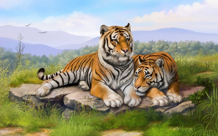 Two Bengal tigers resting on rocks in a landscape
