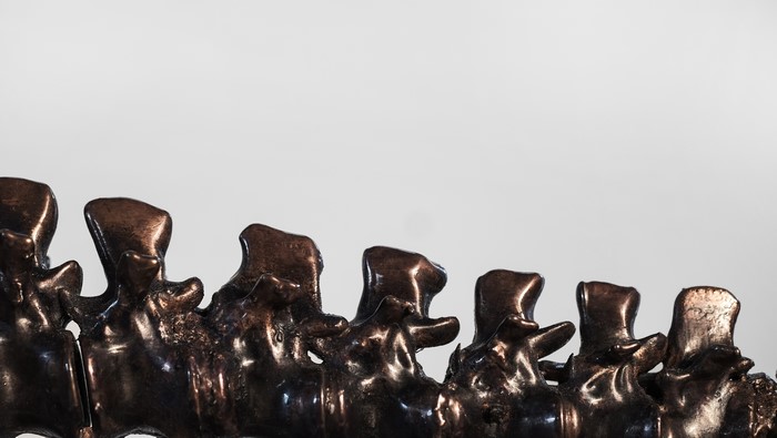Copper Art Skeleton Installation