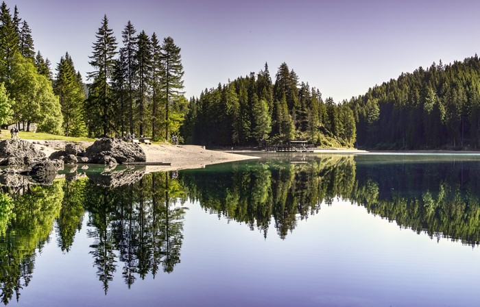 Lake with pine trees and reflection