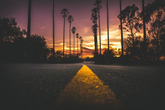 Road with yellow line and palm trees at sunset