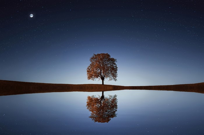 Tree reflecting in water under starry night sky